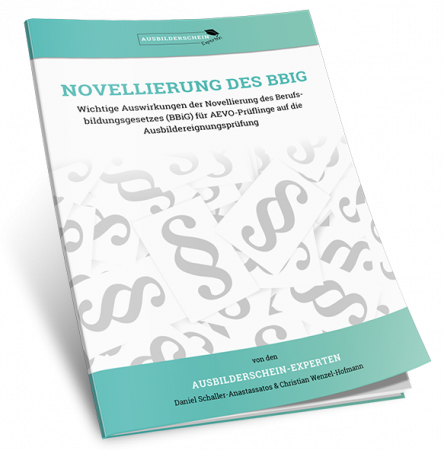 BBiG Novellierung